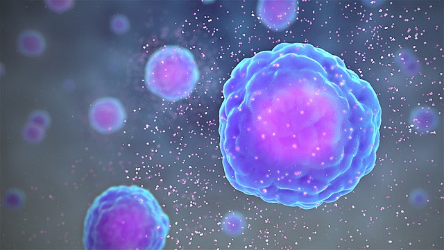 Release of cytokines - Cytokine Release
