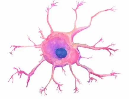 Dendritic cells