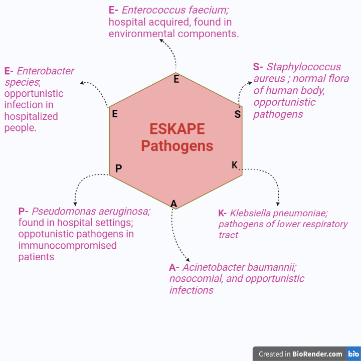 ESKAPE