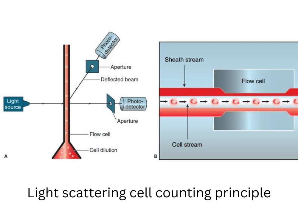 Illustration of light-scattering principle - Illustration of light-scattering cell counting principle