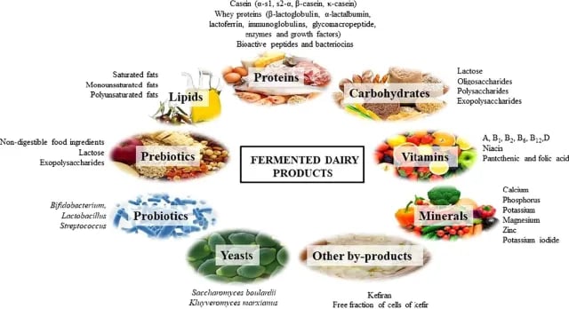 Fermented dairy products and their use - Fermented dairy products and their use