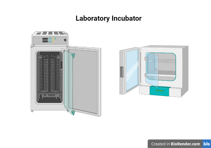 Laboratory Incubator