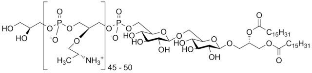 Lipoteichoic acid - Lipoteichoic acid
