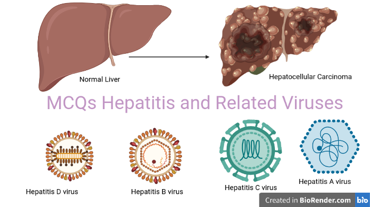 MCQs Hepatitis and related viruses