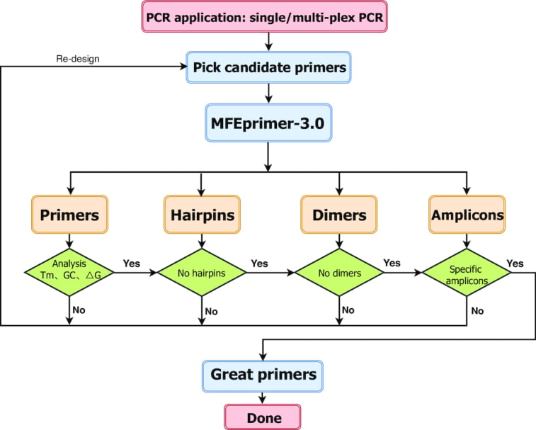 MFE primer 3.0 for PCR quality check