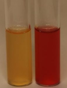 Methyl Red Test 229x300