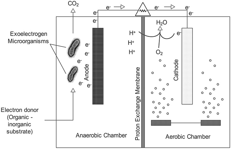 Double chambered microbial fuel cells - SCHEMATIC REPRESENTATION OF A TWO-CHAMBERED MFC.
