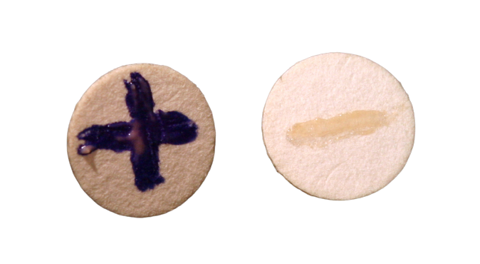 Oxidase test filter paper test method - Oxidase-positivePseudomonas aeruginosa(left) andoxidase-negativeEscherichia coli(right).