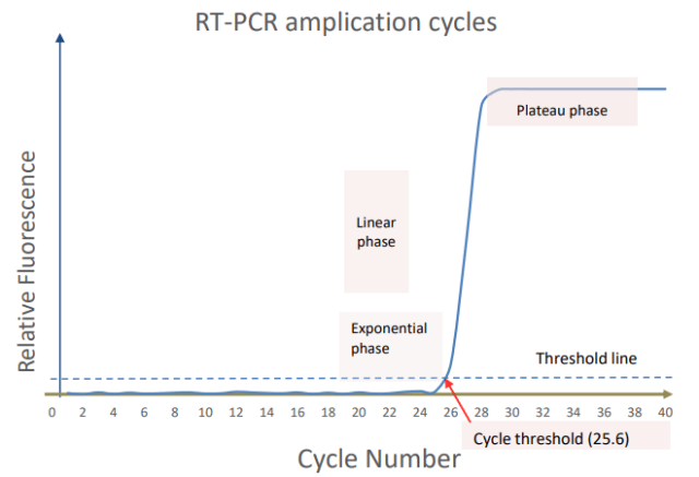 PCR amplification cycle and CT values