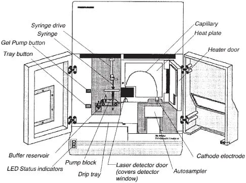 Parts of DNA analyzer