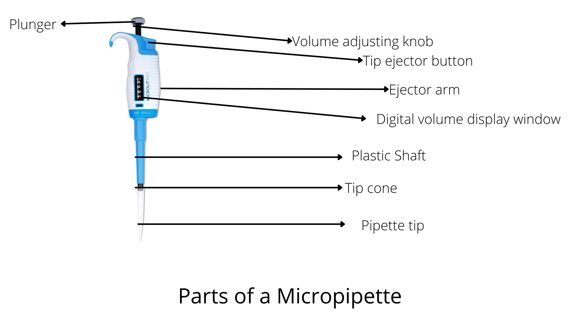 Parts of micropipette - Parts of Micropipette