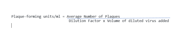Phage Plaque Assay