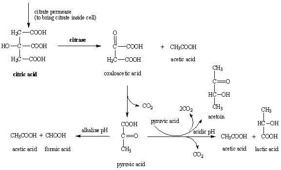 Principle of Citrate Utilization