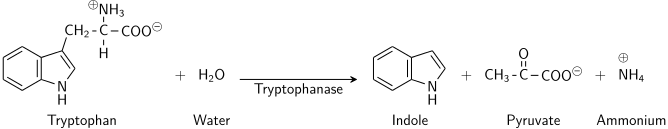 Principle of Indole Test