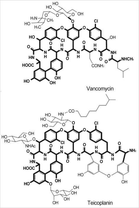 Structure of Vancomyin and Teicoplanin