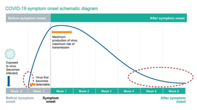 Timeline of detection of SARS CoV 2 RNA in infection