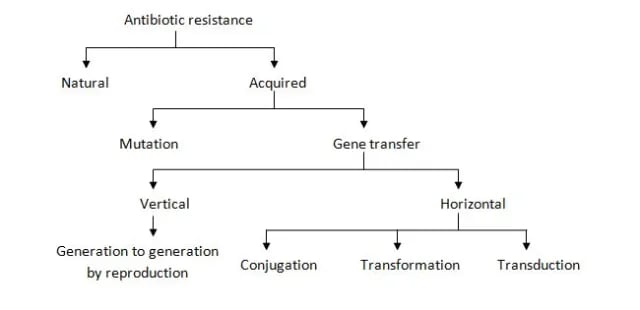 - Ways of gaining a resistant gene by bacteria