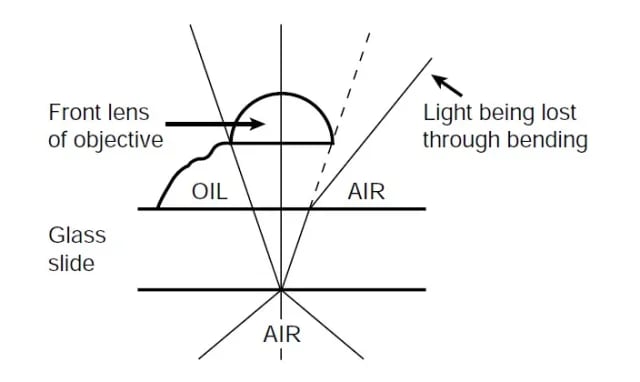 Working principle of an oil immersion objective - Working principle of an oil immersion objective