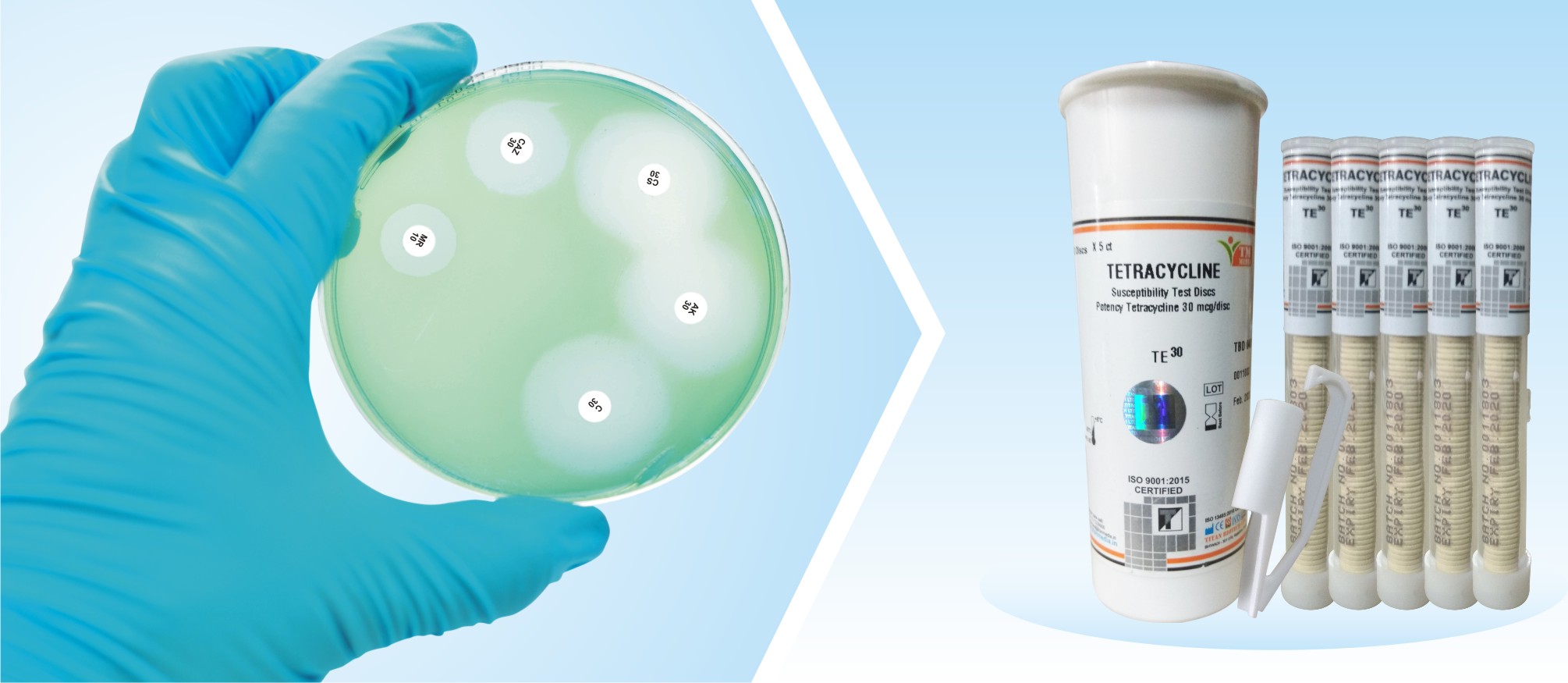 Antimicrobial disc storage