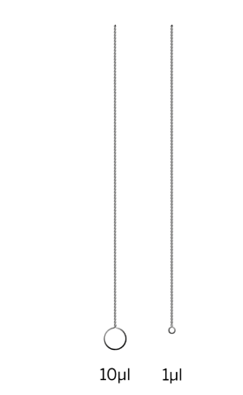 calibrated loop - Nichrome wire calibrated loop