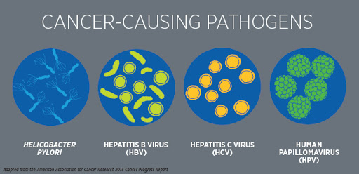 Cancer causing pathogens