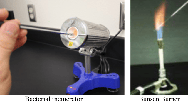 - Sterilization of inoculating loop