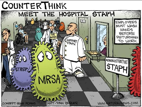 Staph (Microbial Jargon)