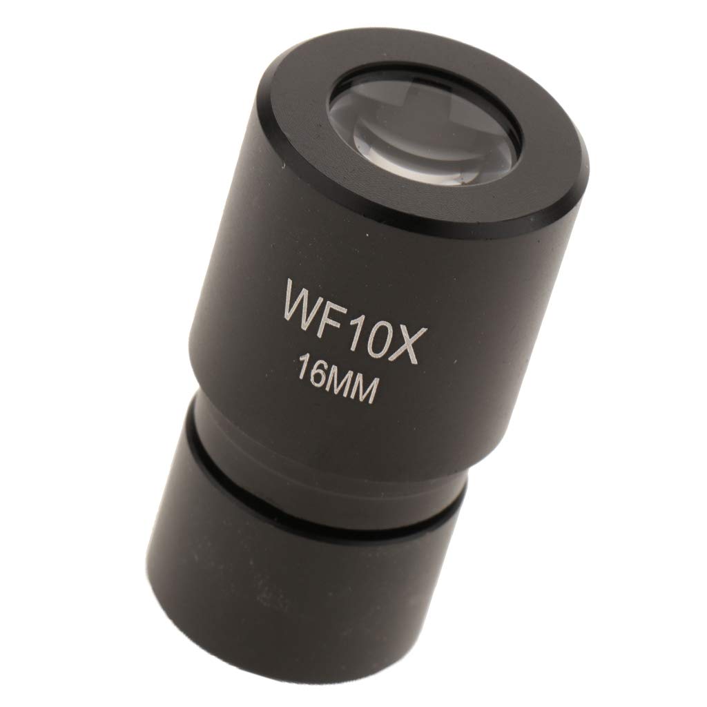 Ocular lens of a microscope - Ocular lens of a microscope