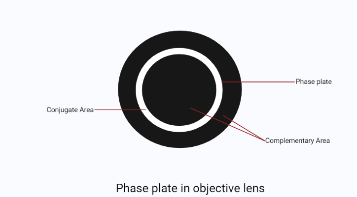 Phase plate inside an objective lens