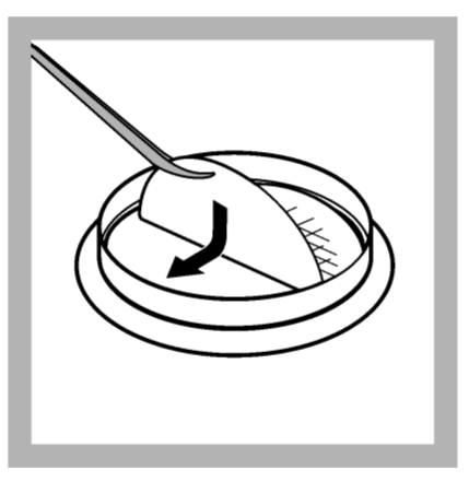 Placing in the filter paper