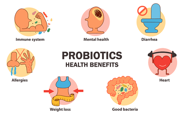 - Health benefits of probiotics (Image source)