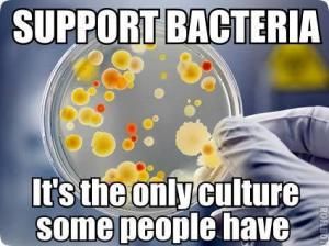 Support bacteria culture