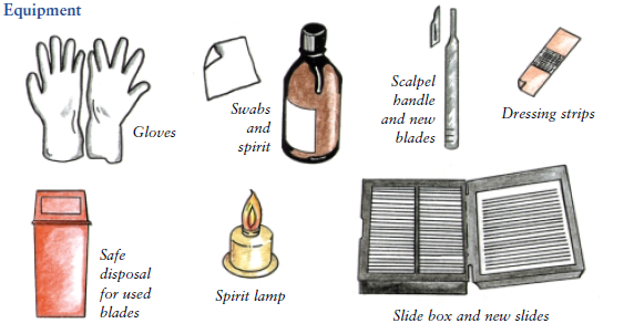 Equipment needed to take skin smear