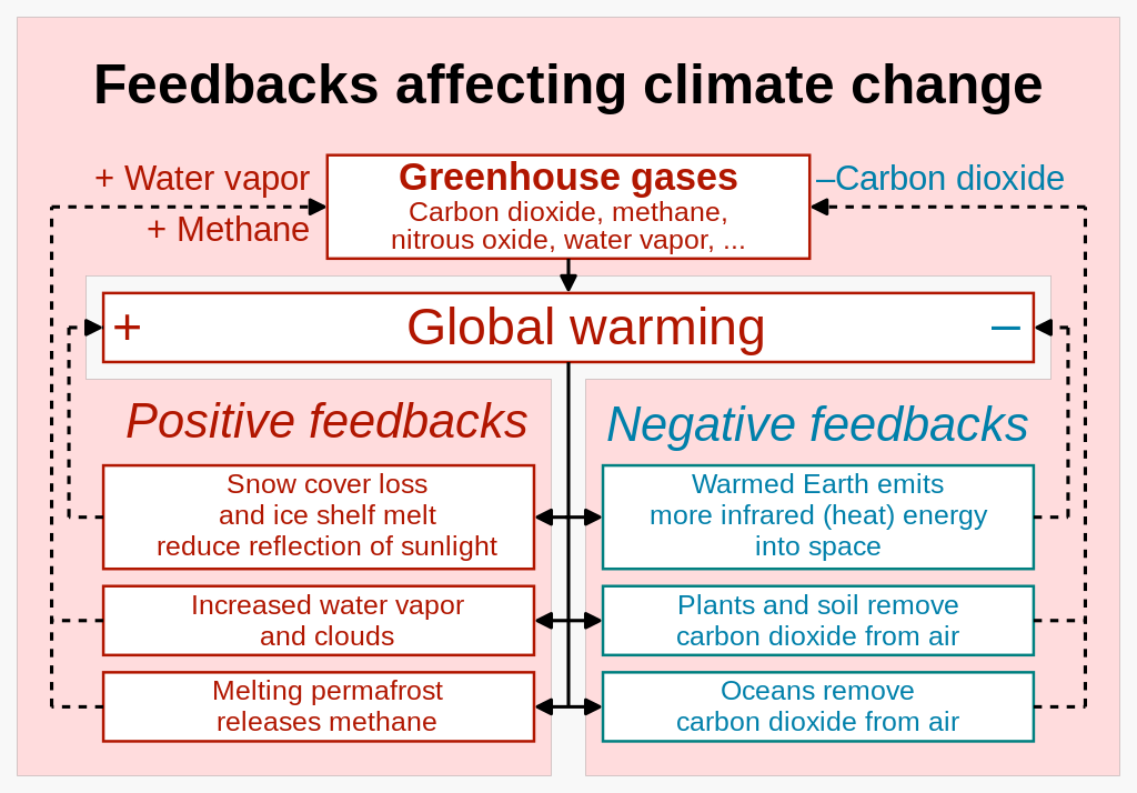 Role of feedback loop on dfferent effects of climate change - Some effects of climate change can either enhance (positive feedbacks) or weaken (negative feedbacks) global warming