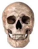 Skull Meningitis