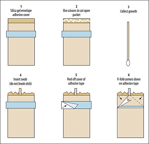 - Procedure for inoculating silica gel packages for short term storage