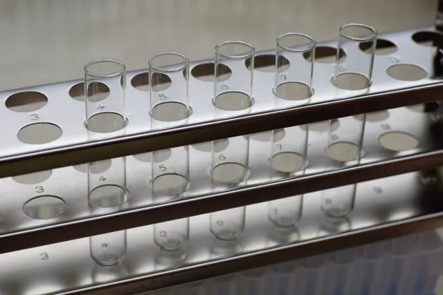 Test tube in rack - Test tube in rack