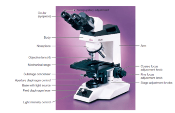 Types of Microscopes: Classification, Comparison, and Clinical Uses