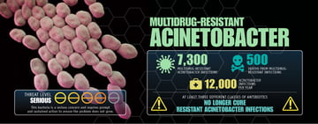 Acinetobacter baumannii: A Drug-Resistant ICU Pathogen and How It Is Identified