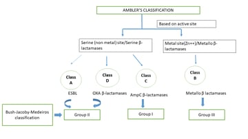 Beta-Lactamase Classification: Ambler vs. Bush-Jacoby, and Why an Enzyme Has Both