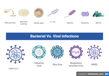 Bacterial vs Viral Infections: Similarities and Differences