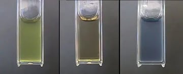 Bial's (Orcinol) Test: Principle, Procedure, Result, and Uses