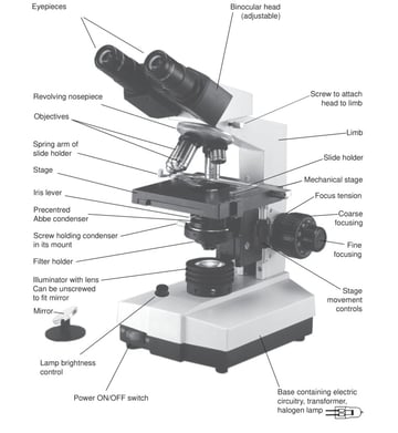 Parts of a Microscope and Their Functions: Which Objective and Settings for Each Examination