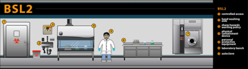 Biosafety Level 2 (BSL2) Guidelines: Requirements, Organisms, and BSL1 vs BSL2 vs BSL3