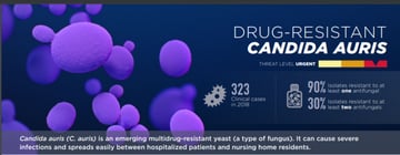 Candida auris: Transmission, Risk, Diagnosis, Treatment