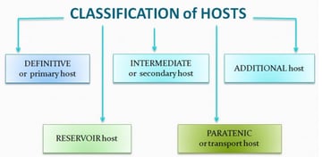 Types of Host in Parasitology: Definitive, Intermediate, Reservoir, and Host-Parasite Relationships