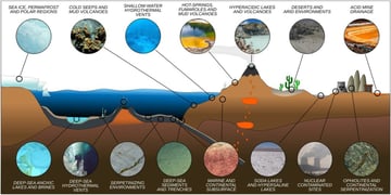 Extremophiles: Their Types and Applications