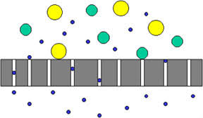 Filtration Sterilization: Types, Mechanism, and Uses