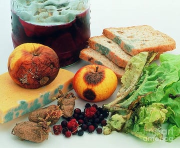 Food Spoilage: Causes, Types, and Prevention
