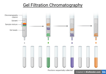 Gel Filtration Chromatography: Principle, Steps & Uses